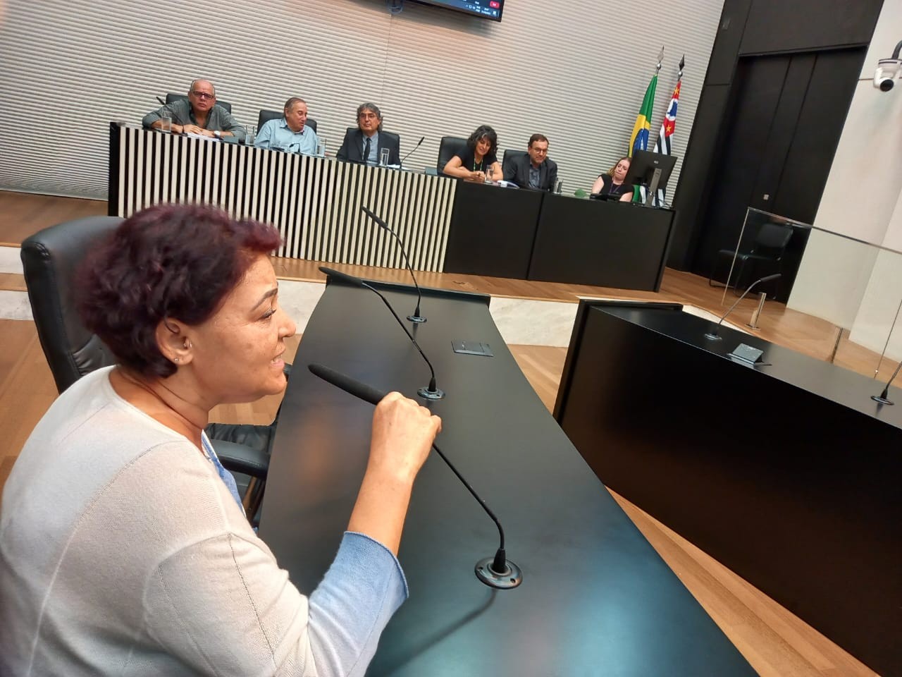 Sinteps participa de audiência pública