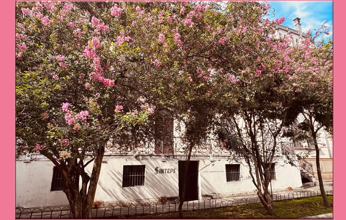 Início de ano nas ETECs e FATECs: Organização, humanidade e compromisso com o ensino