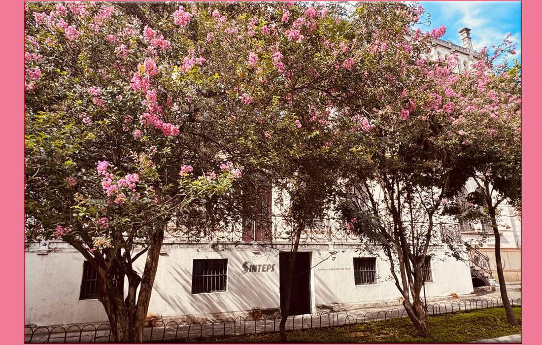 Início de ano nas ETECs e FATECs: Organização, humanidade e compromisso com o ensino