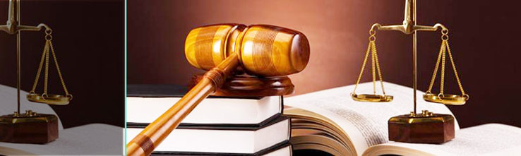 Novo Jurídico do Sinteps completa um ano de trabalho com bons resultados e ampliação de serviços. Veja como funciona