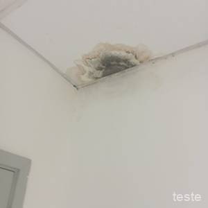 FATEC20Santos206_original